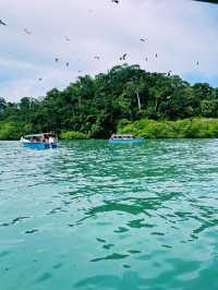 Pulau Singa Besar – Langkawi’s Wild Island of Eagles & Nature** 🦅🌿