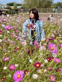 Picturesque Agricultural Theme Park