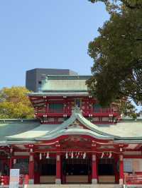 東京｜富岡八幡宮的櫻花風情
