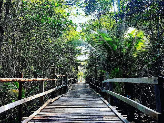 Pulau Sibu: Where Hammocks Outnumber People & Sea Turtles Crash Your Snorkel Party" 🏝️🐢