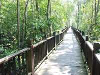Taman Negara Johor Pulau Kukup – A Solo Traveller’s Adventurous Escape
