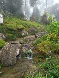 A Misty Escape – Japanese Village at Colmar Tropicale