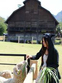 Nature, wine, and wildlife—Khao Yai