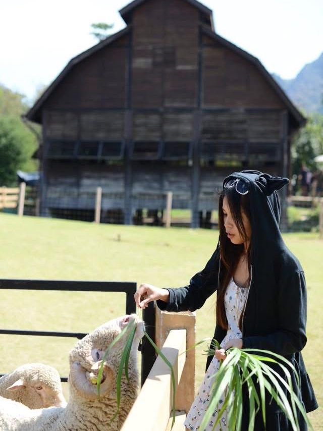 Nature, wine, and wildlife—Khao Yai