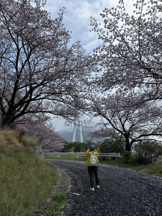 島波海道-尾道到今治的自行車道