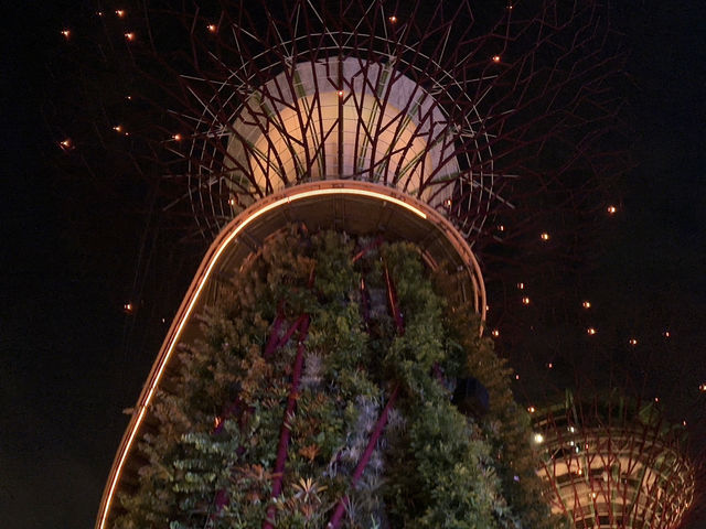 Singapore — An urban and vibrant city ❤️