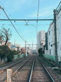 東京的兩種節奏：閃耀的鐵塔與靜靜盛開的街角櫻