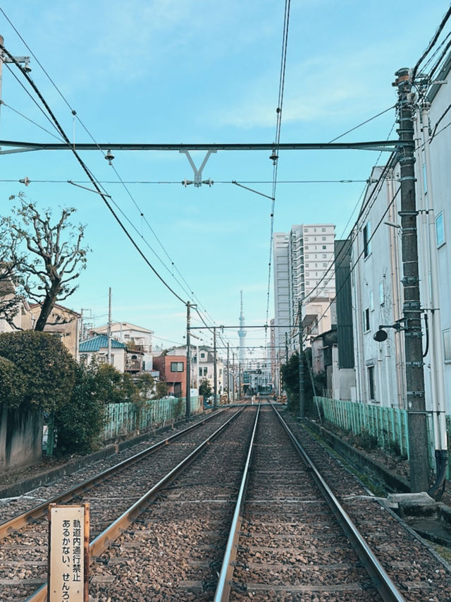 東京的兩種節奏：閃耀的鐵塔與靜靜盛開的街角櫻