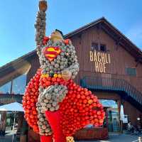 A Rustic Autumn Escape: My Visit to Junker Farm in Jona