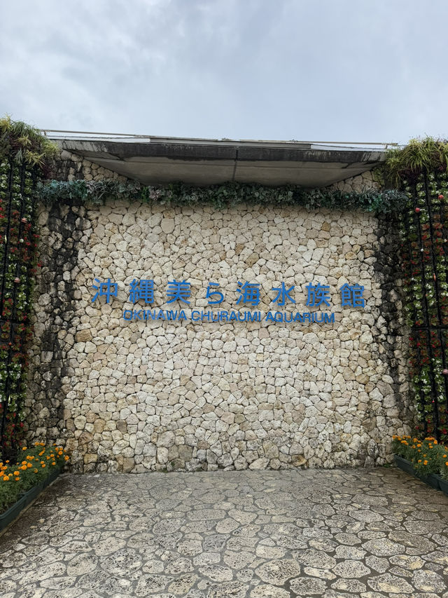 沖繩自由行：夢幻海島與文化探險的完美旅行！🌴✨**  