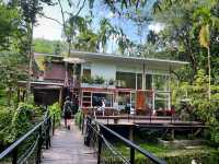 บ้านในหมง treehouse ระนอง