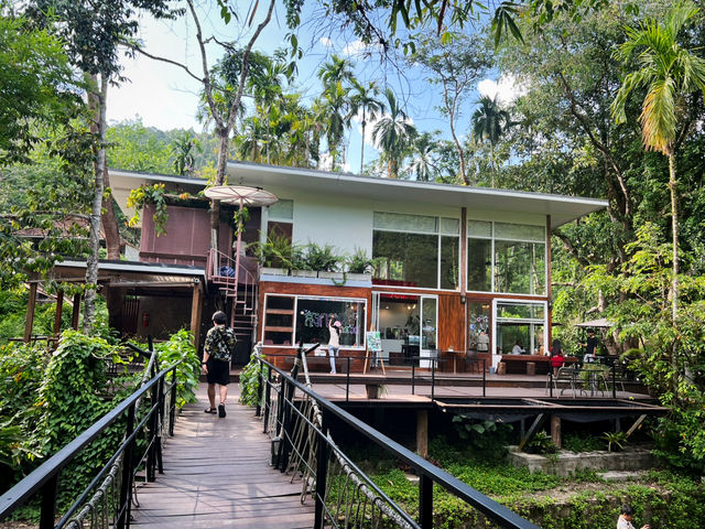 บ้านในหมง treehouse ระนอง