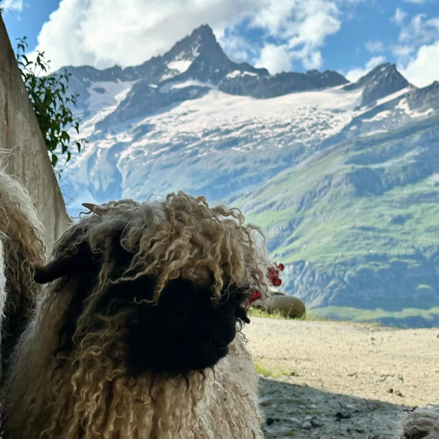 👨‍👩‍👧‍👦 Family-Friendly Zermatt Weekend: Matterhorn Magic for All Ages!