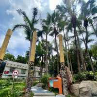 探秘歷史建築與城市風光之美✨深圳龍華大浪日遊⛪️🌴🌊 🛍️