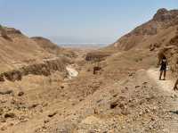incredible desert views