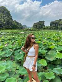 Vietnam – A Captivating Tapestry of Culture, Nature, and Flavor