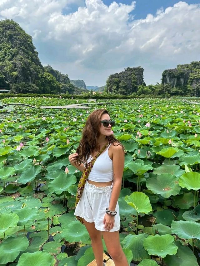 Vietnam – A Captivating Tapestry of Culture, Nature, and Flavor