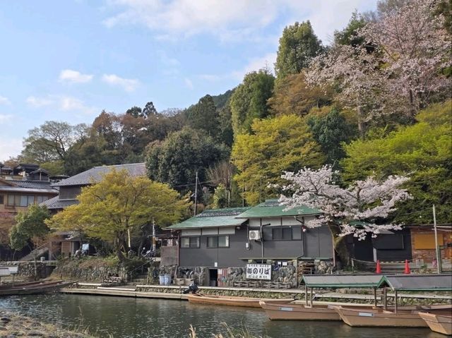 Just Me, Some Sakura, and a River Doing Its Thing