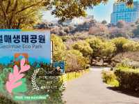 Geolmae Ecological Park in Jeju
