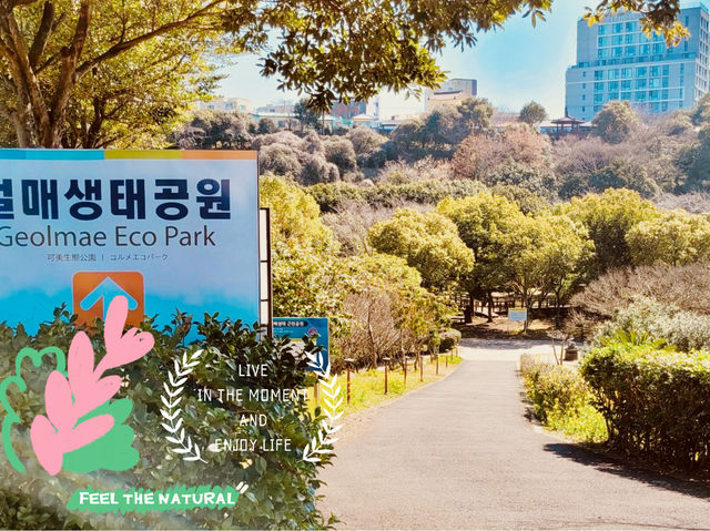 Geolmae Ecological Park in Jeju