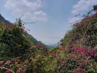 The Stunning views at Yangmingshan National Park, Taipei, Taiwan