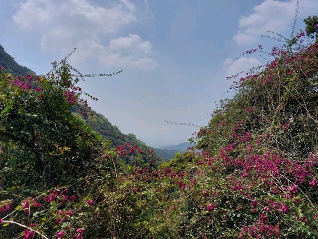 The Stunning views at Yangmingshan National Park, Taipei, Taiwan