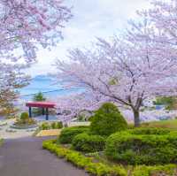 Blossoms and Wildlife in Hokkaido’s Heart