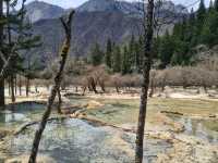 Huanglong in May: Still not at its full beuty