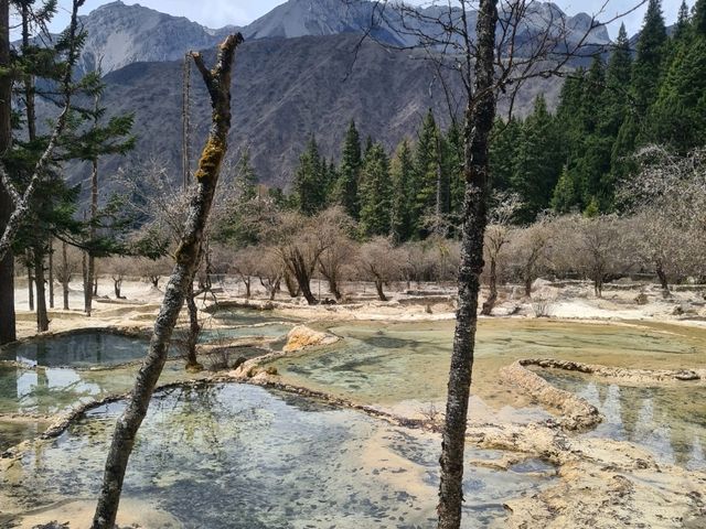 Huanglong in May: Still not at its full beuty