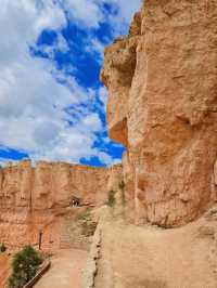 Nature’s Amphitheater of Wonder