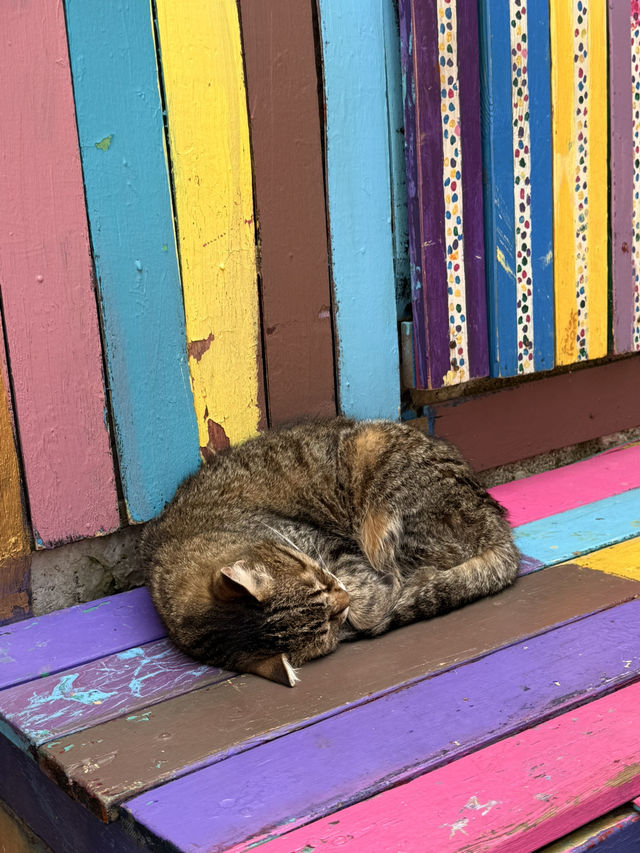 Balat: A Colorful Escape in Istanbul