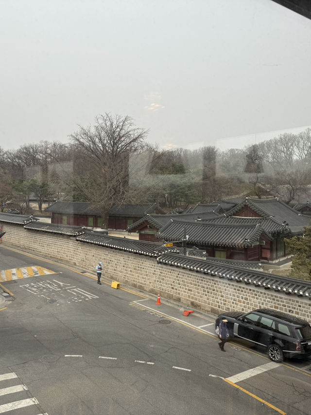 창덕궁이 보이는 회화나무카페