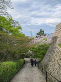 A Quick Stop for Gorgeous Views and History