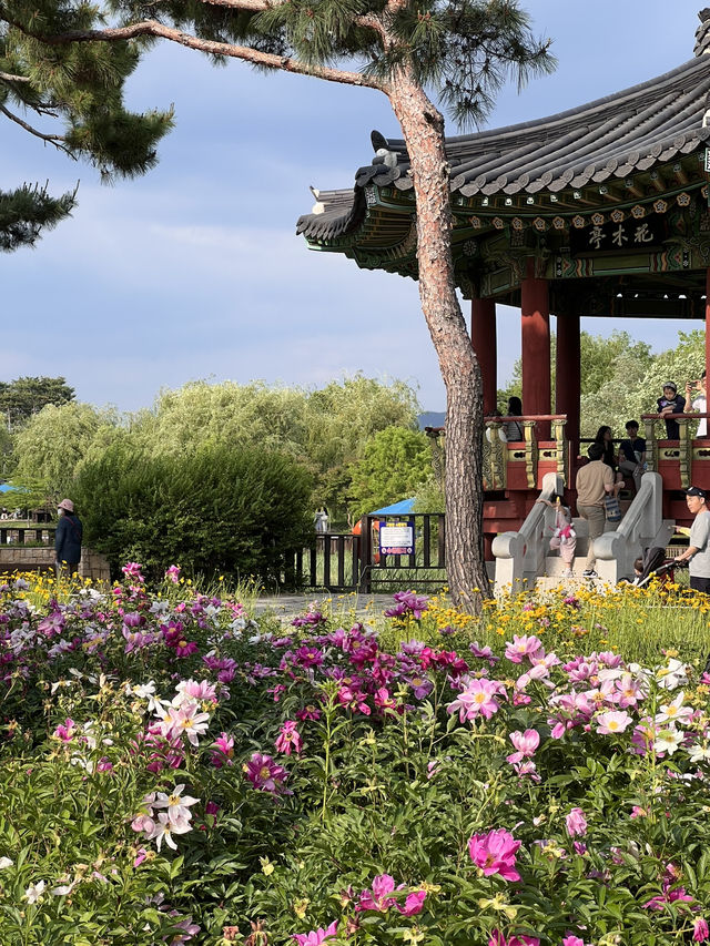 5월의 여왕을 만날 수 있는 곳 🌹