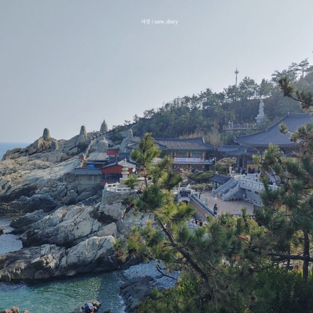 부산 바다 코앞 사찰! [부산여행지🌊🎋]