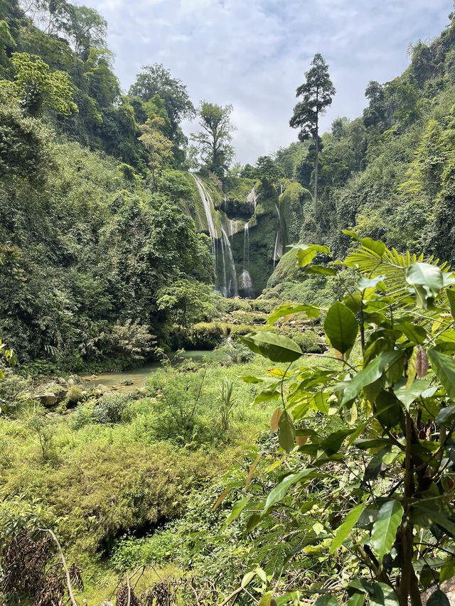 - Mộc Châu