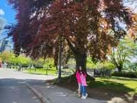 Stanley Park Stroll: Yachts, Serenity, and Unforgettable Views