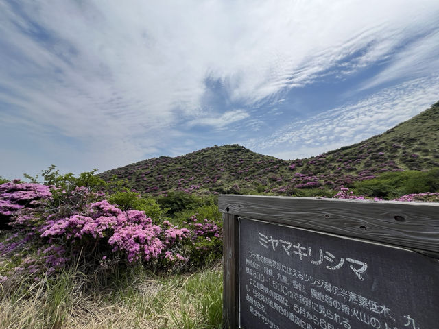 天空の花畑　仙酔峡
