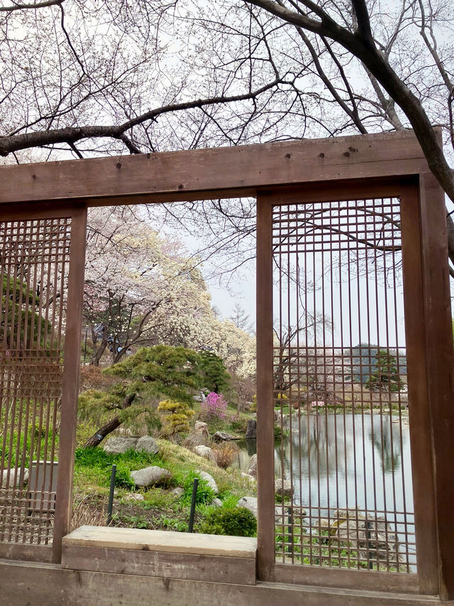 산책하기 좋은 힐링 야외데이트🌲