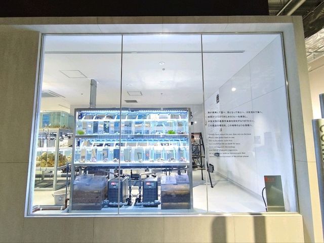 札幌景點｜2023年新開幕城市中的海洋世界~AOAO SAPPORO