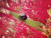 Sarue-onshi Park – A Serene Retreat in Tokyo