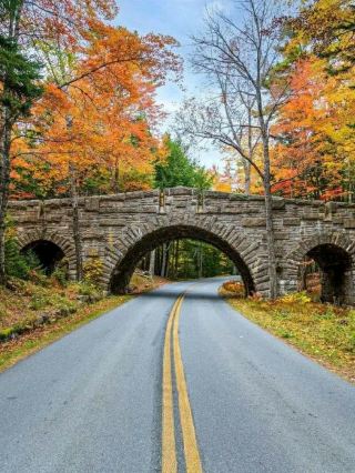 From Ocean to Summit: Hiking the Beehive Trail in Acadia