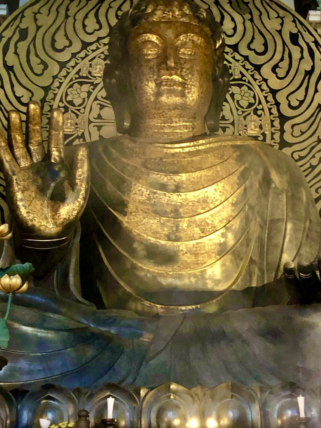 Winter Wonders in Fukui – Temples, Dinosaurs & Peaceful Shrines 