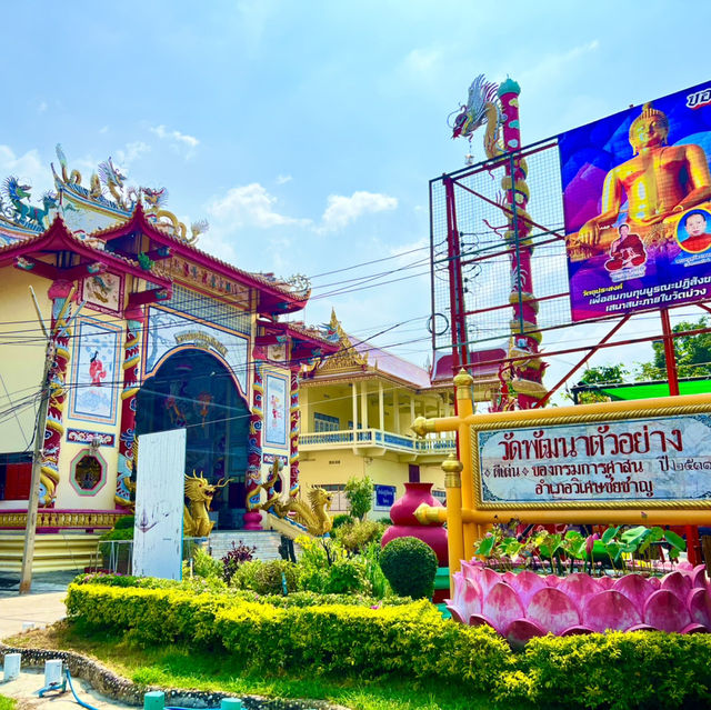 วัดม่วง