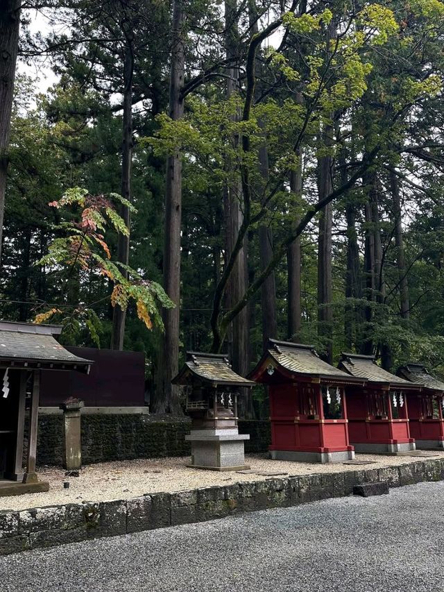 Spring Vibes & Shrine Feels
