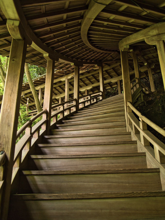 【行く前にこれ見て】瑞々しい翠の世界で心洗われる青もみじの絶景🌿※周辺観光情報付き