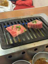 great time in tokyo 2 D 1 N