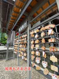 豊川　円福山妙厳寺でおみくじを引く！