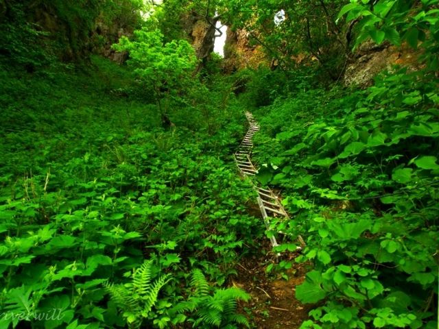 【北海道】小樽ブルーの絶景洞窟に出会える「白龍胎内めぐり」