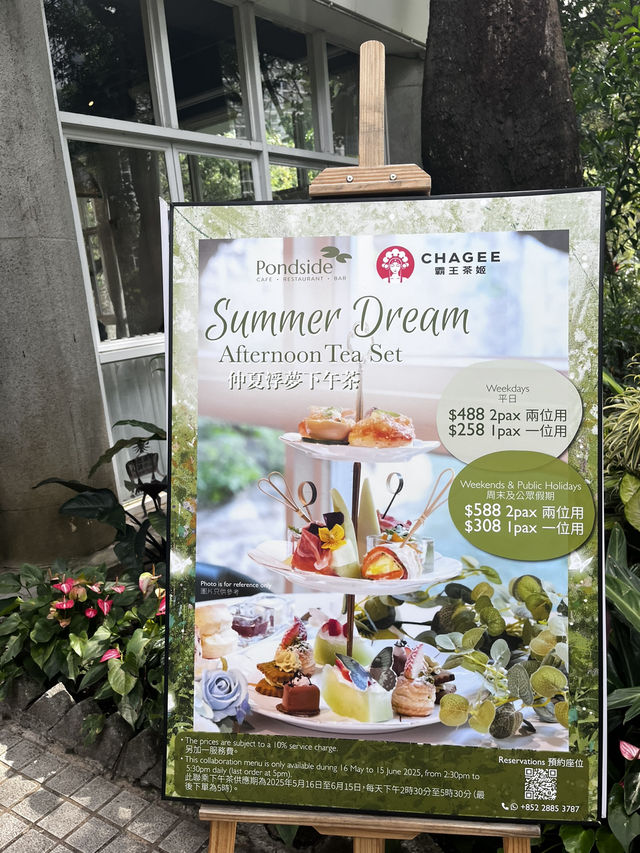 🫧仲夏浮夢Summer Dream
